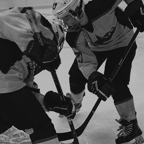 Joueurs de hockey